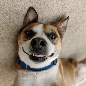 Meet your Posher, Veronica